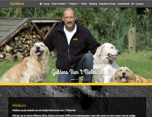 website Golden Retriever