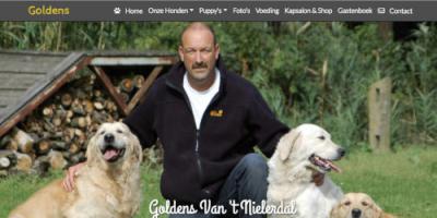 website Golden Retriever